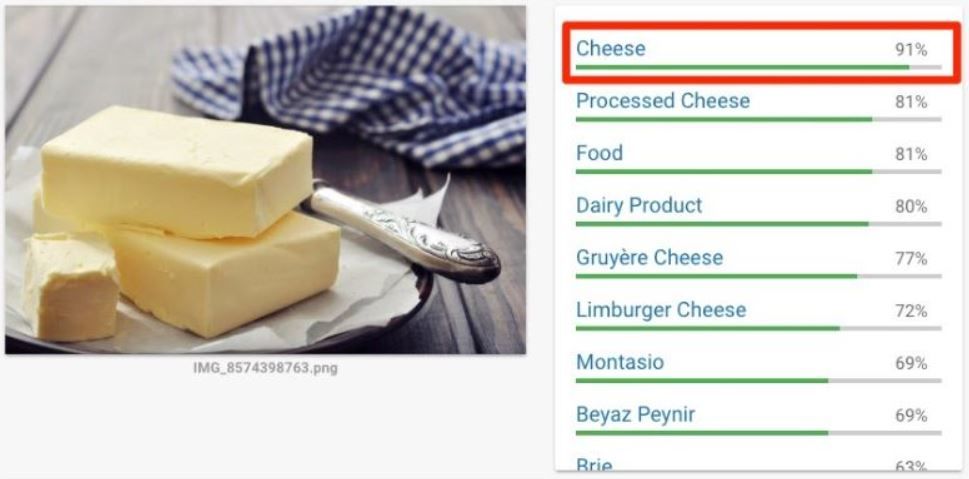 seo basics